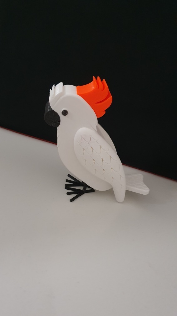 Cacatua russofruitimano