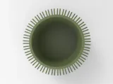 Succulent Dance Pot-1