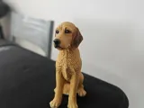 Labradoodle-1