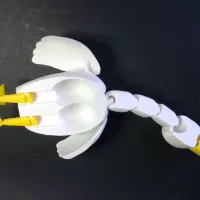 Flexi Duck Print In Place Multiparts With Gift Box-4