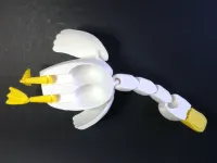 Flexi Duck Print In Place Multiparts With Gift Box-4