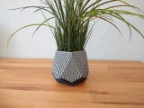 Diamond Hexagonal Planter-6