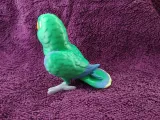 Eclectus-4