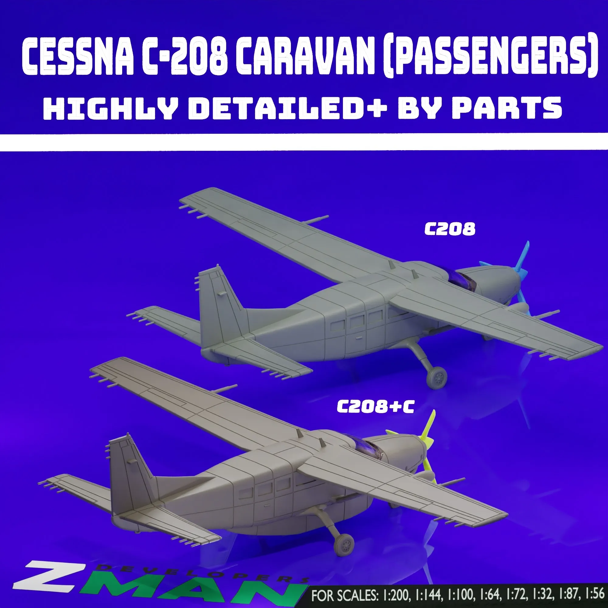 CESSNA 208 CARAVAN (ПАССАЖИРЫ) (2 В 1) V3
