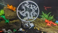 Amphiptere Flexible Baby Dragon-3
