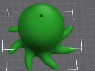 octopus