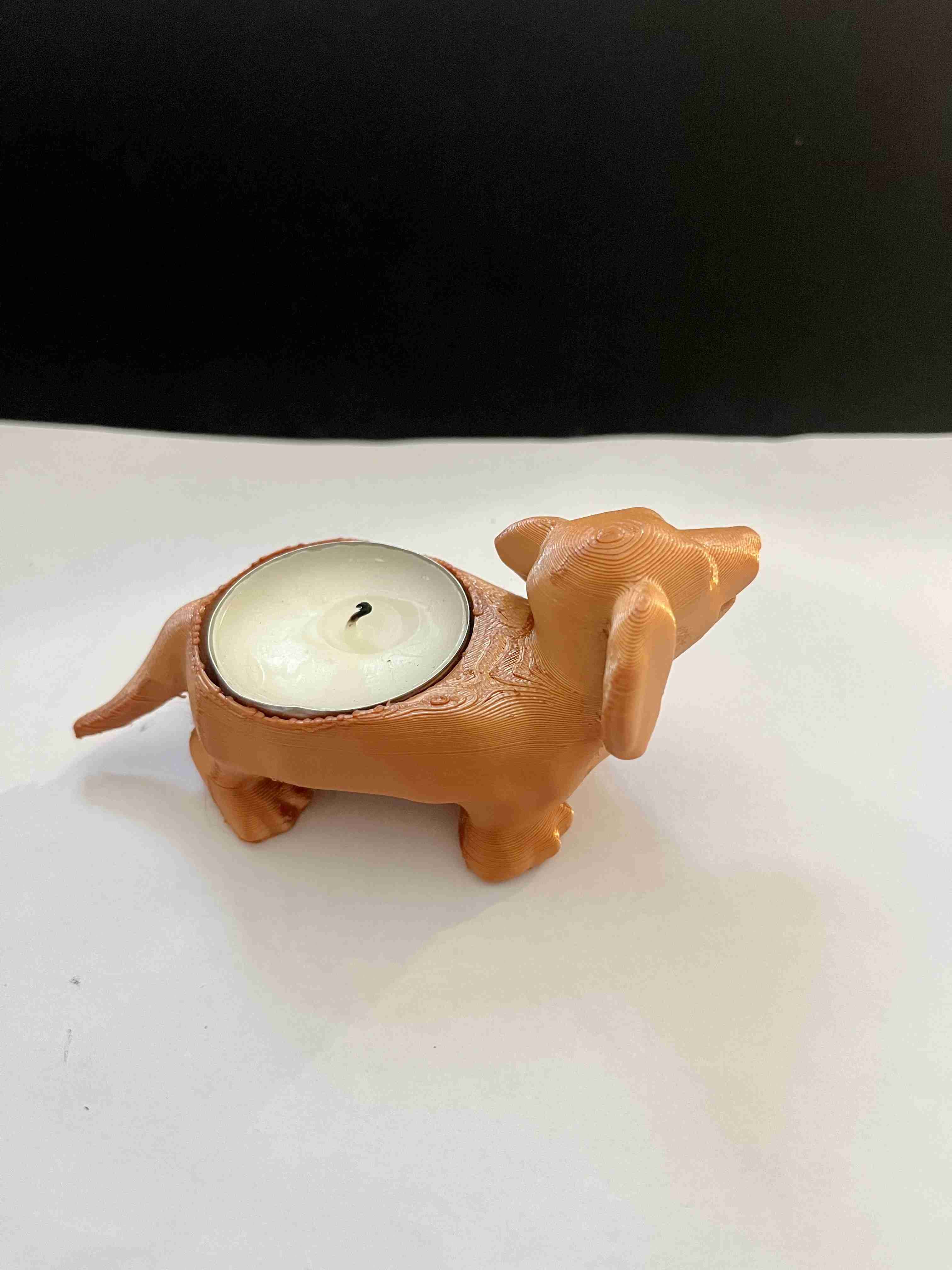 Dog candle 3D models download Creality Cloud
