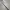 HarryPotter_Wand baguette