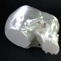 calavera-6