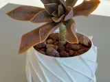Pot Interior Decor P-1