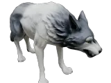 Lunar Wolf Series-2