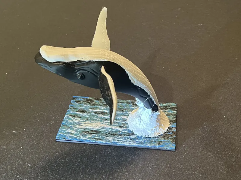 Humpback Whale Breaching the Ocean Surface