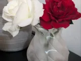 Vase transparent-1