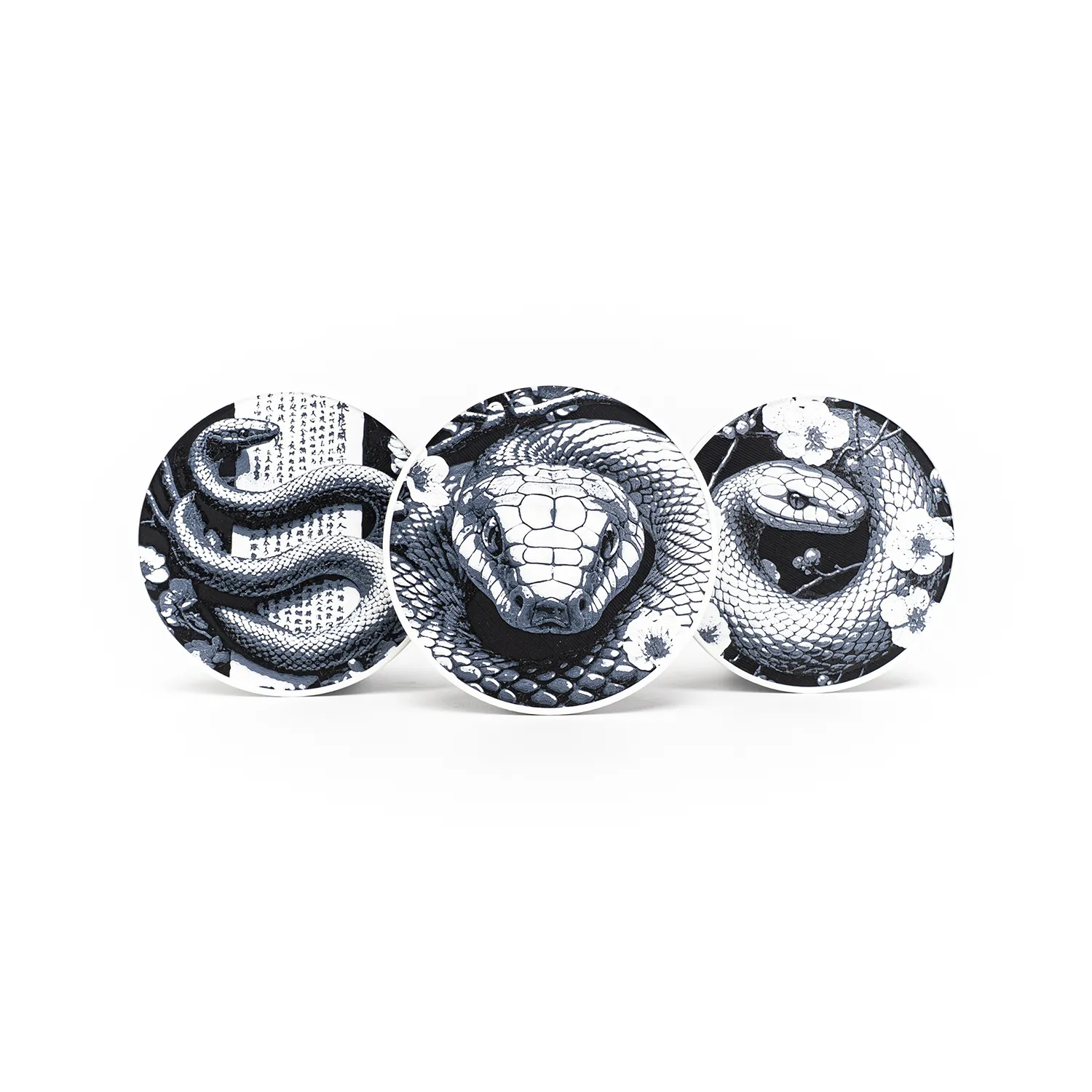 Snake Coasters