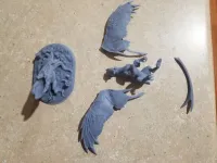 Magical Dragon-2