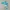 GBC - Animal Breeder 3 JPN - Dolphin 5, 2 filamentwissels
