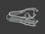 Acanthodes Skull-7