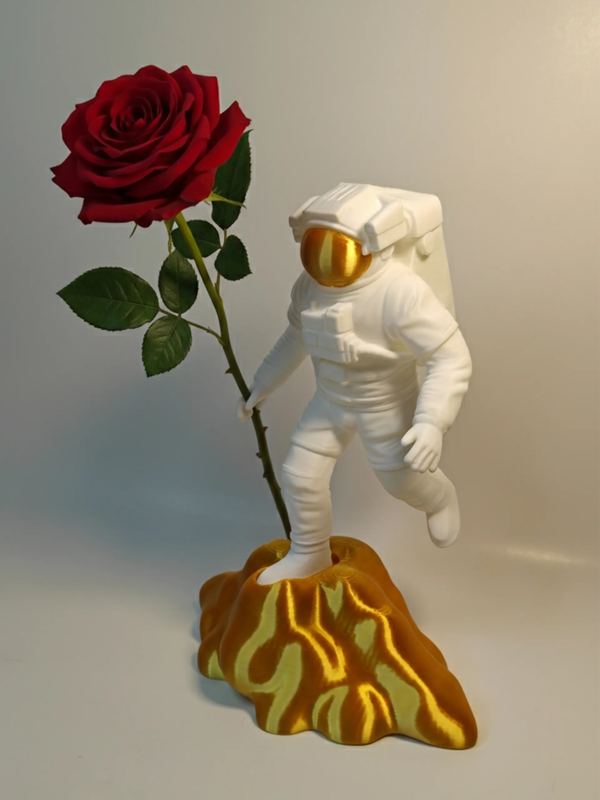 Dreamy Astronaut: Valentine Rose Holder-1