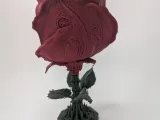 The Yawning Rose -1