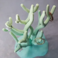 Coral Stand-2