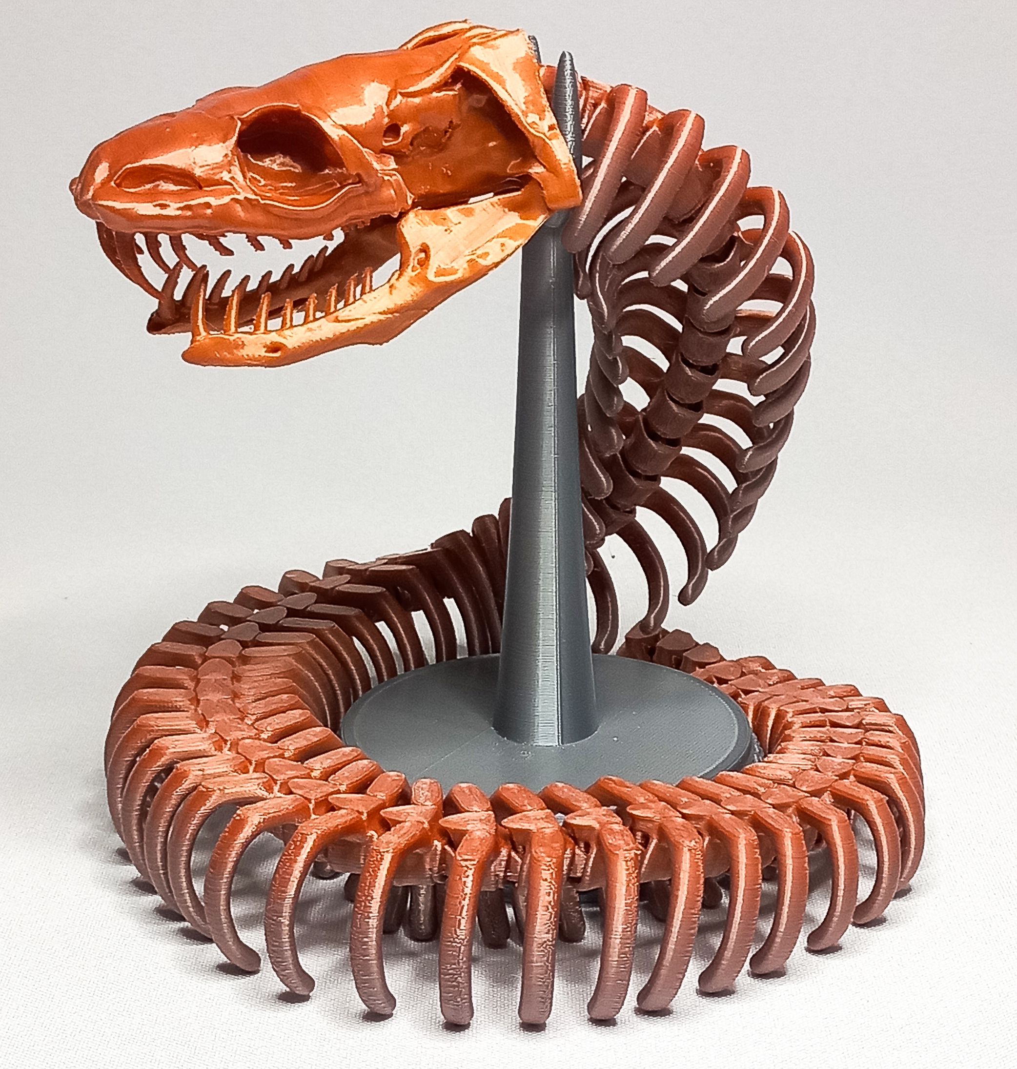 ARTICULATED SKELETON SNAKE | 3D models download | Creality Cloud