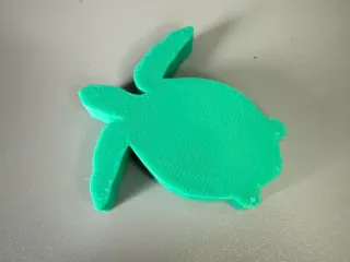 Turtle