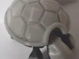 bewegliche Schildkröte-5