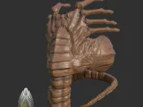 Aliens Romulus Face Hugger 3D DIGITAL DOWNLOAD-0