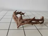 Forrest warrior princess tiara-1