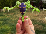 Domz sarcophacus-3
