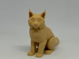 猞猁-1
