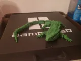 Articulated LIZARD-1