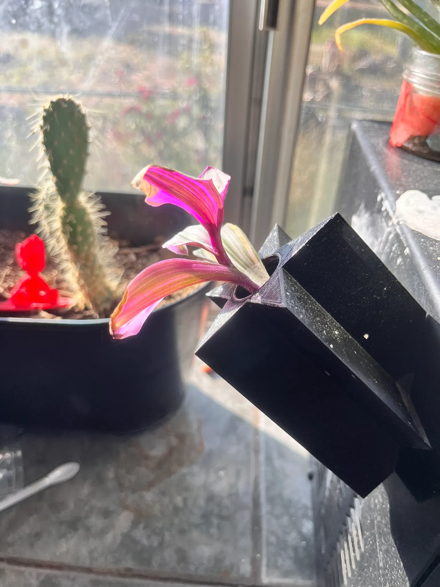 Propagation - Star Magnet