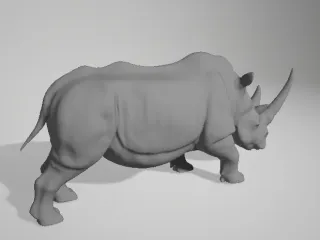 rhino 02