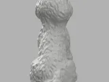 Bichon dog-6
