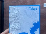 Tokyo Topographic Map-1