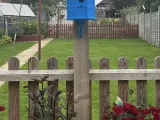 BIRD HOUSE-0