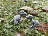 Dinosaur raptor-3