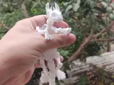 chimuelo dragón-3