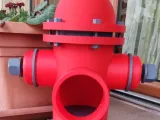 Fire hydrant bird house - Casa uccellini a forma di idrante-1