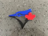 Blue Jay Head-1