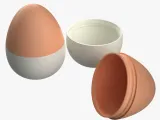 Egg Shaped Container-5