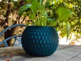 Flower Pot-3