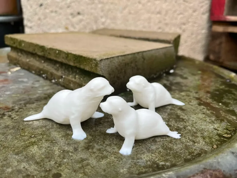 Seal family