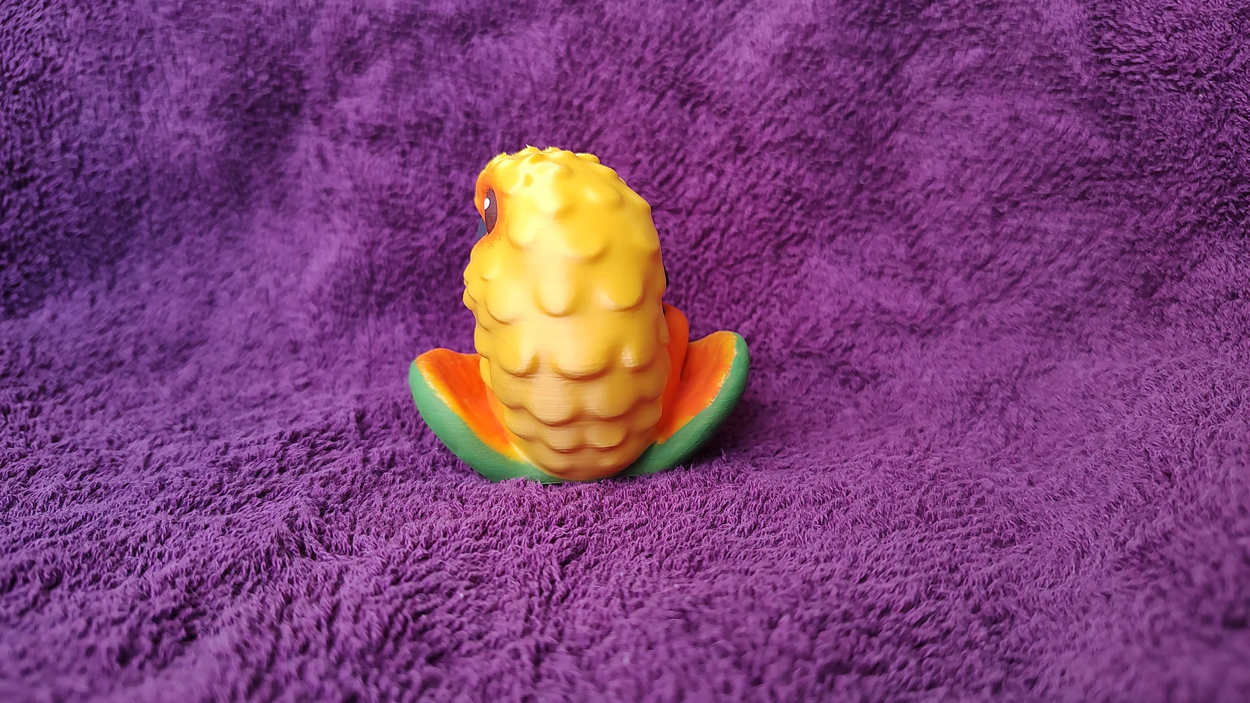 Conure Dice Guardian
