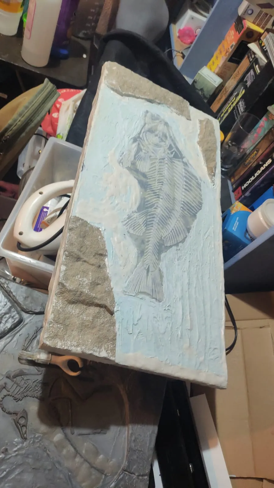 Fossil Fish Replica – Paleoart Wall Display