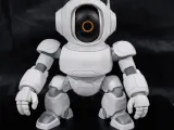 CUSTODIA ROBOT PER TELECAMERA SMART XIAOMI-4