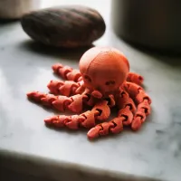 Cute Mini Octopus -0