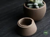 tundra · planter-1
