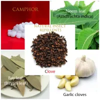 Natural Insect Repellent Container for Rice and Millets-4